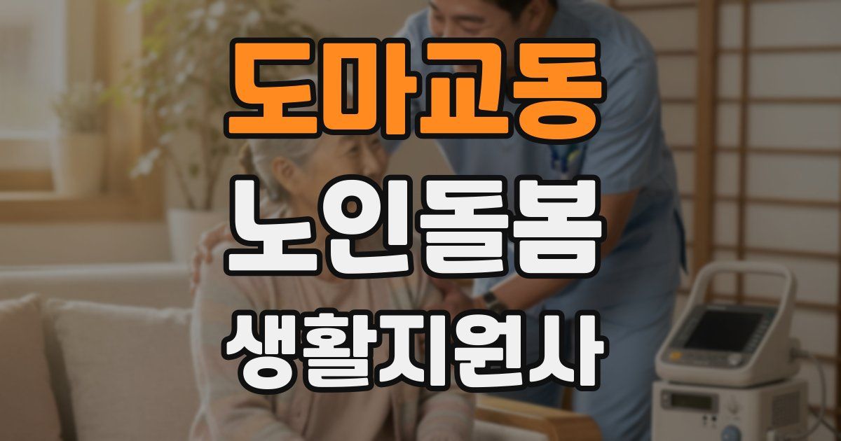 도마교동 노인돌봄생활지원사 자격증