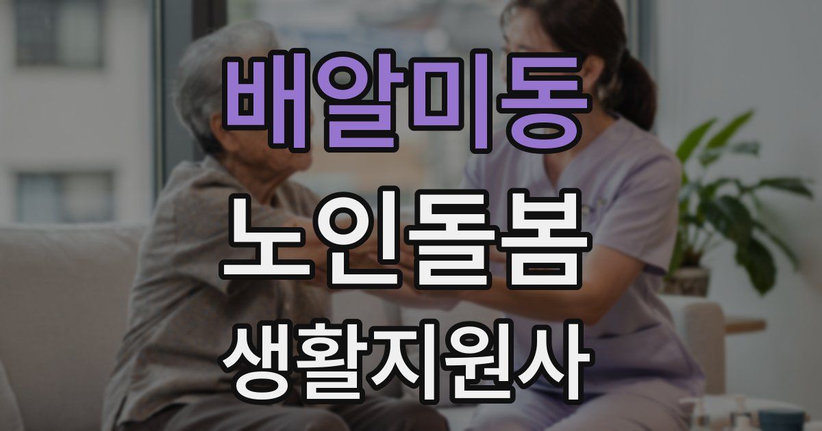 배알미동 노인돌봄생활지원사 자격증
