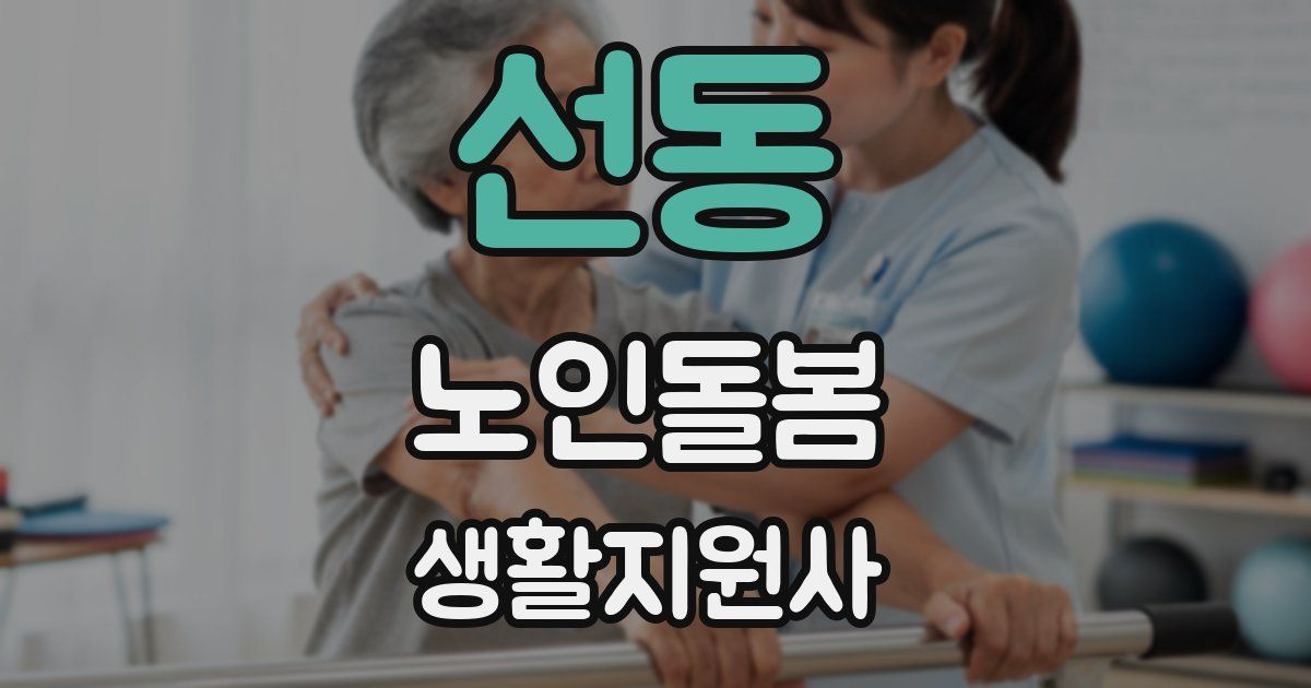 선동 노인돌봄생활지원사 자격증