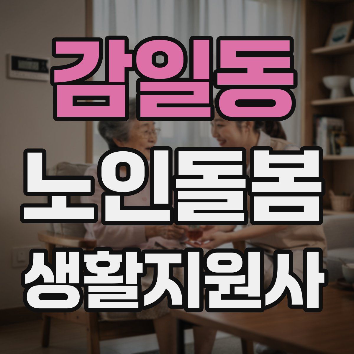 감일동 노인돌봄생활지원사 자격증