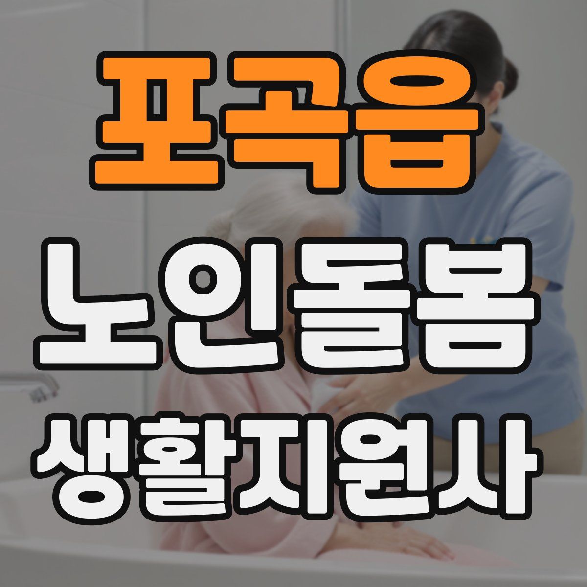 포곡읍 노인돌봄생활지원사 자격증