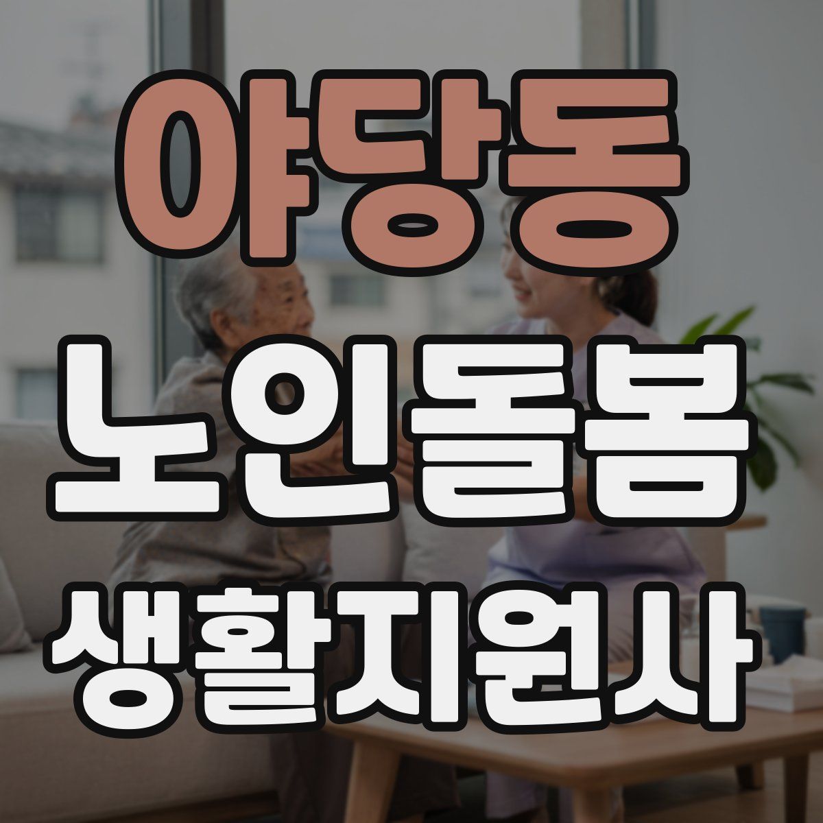 야당동 노인돌봄생활지원사 자격증