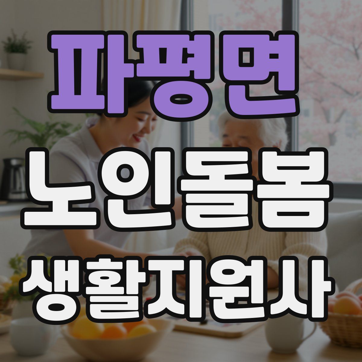 파평면 노인돌봄생활지원사 자격증