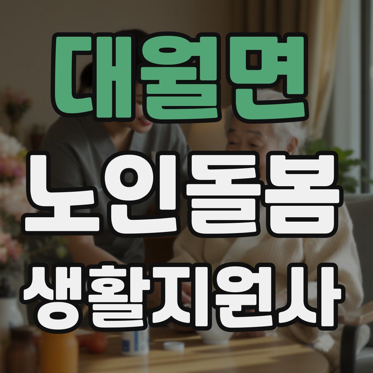 대월면 노인돌봄생활지원사 자격증