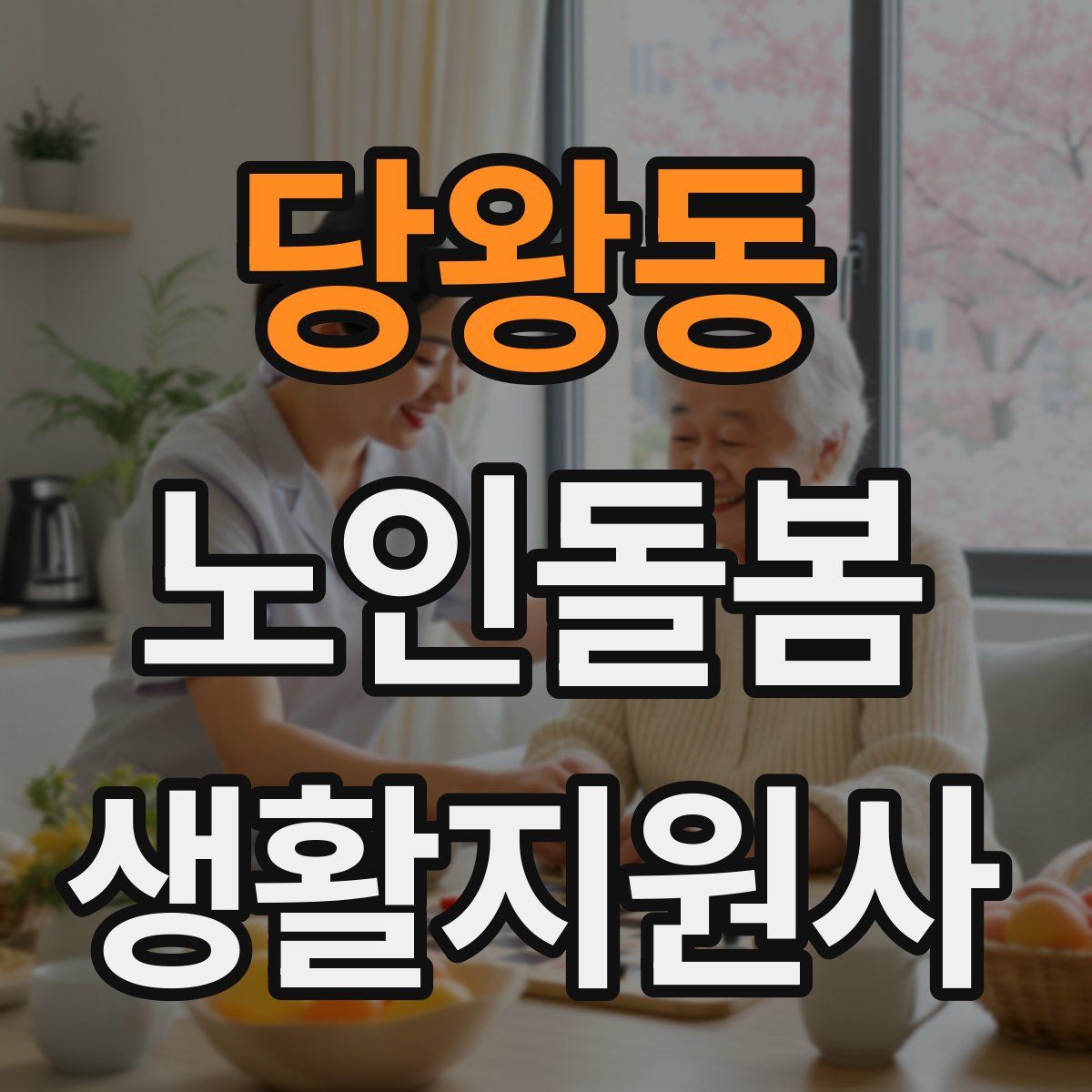 당왕동 노인돌봄생활지원사 자격증