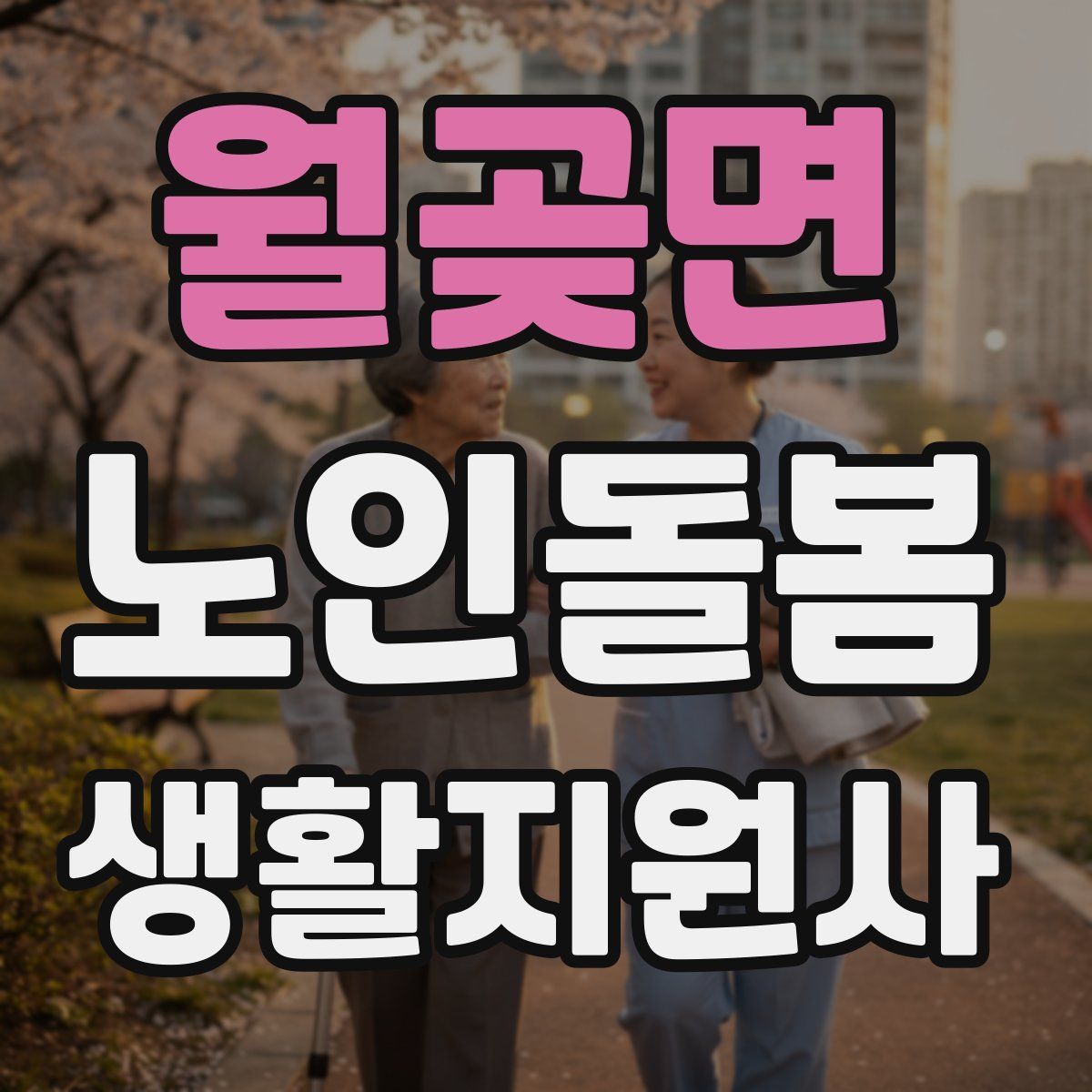월곶면 노인돌봄생활지원사 자격증