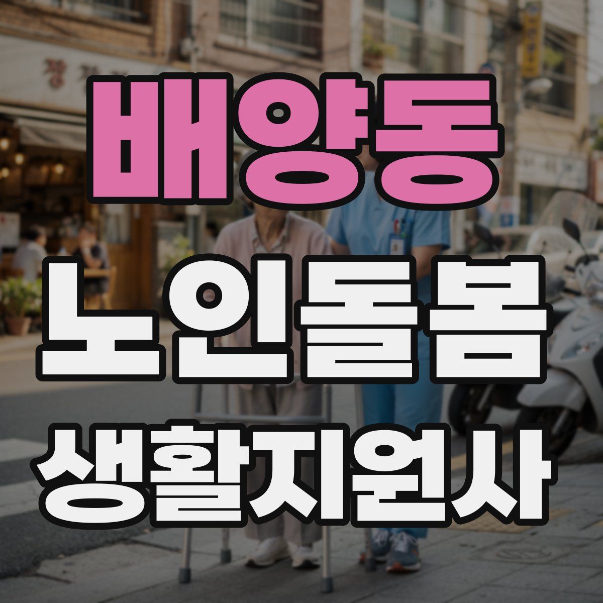 배양동 노인돌봄생활지원사 자격증