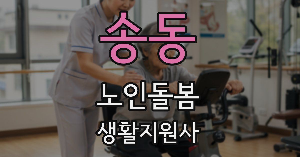 송동 노인돌봄생활지원사 자격증