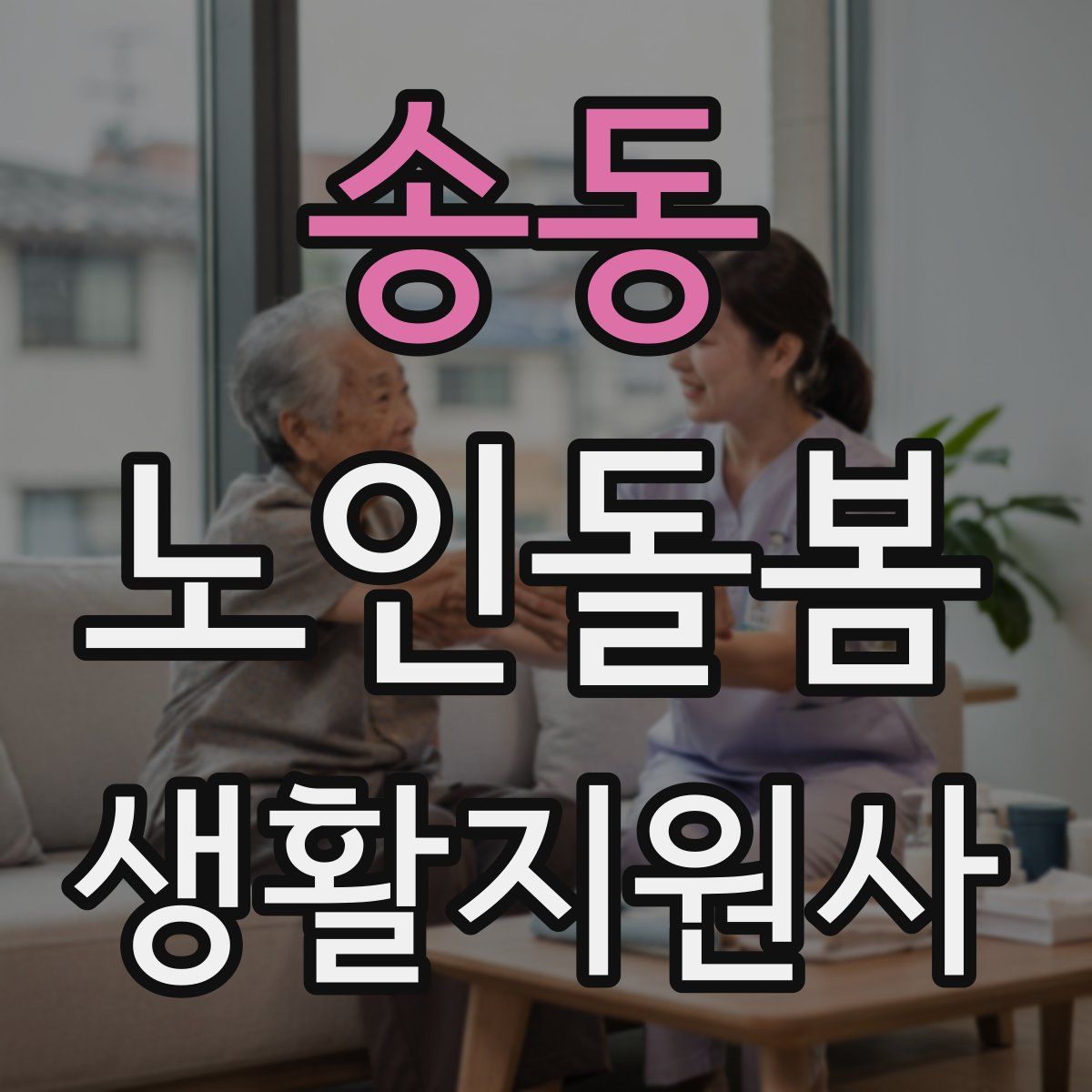 송동 노인돌봄생활지원사 자격증