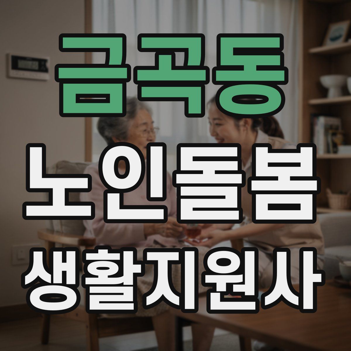 금곡동 노인돌봄생활지원사 자격증