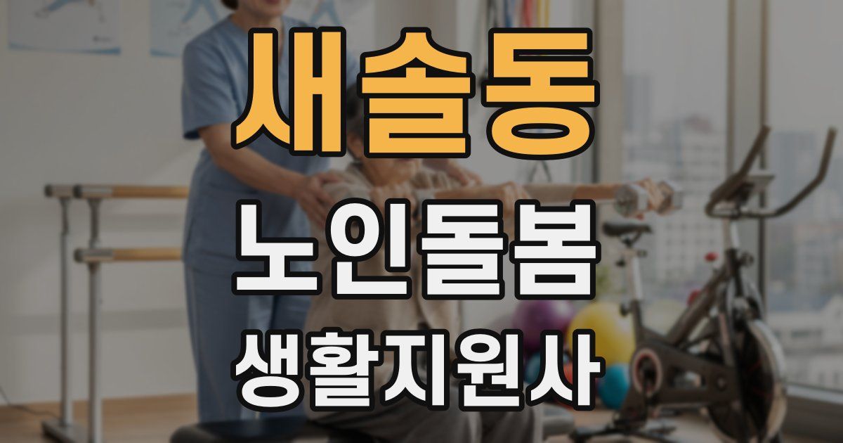 새솔동 노인돌봄생활지원사 자격증