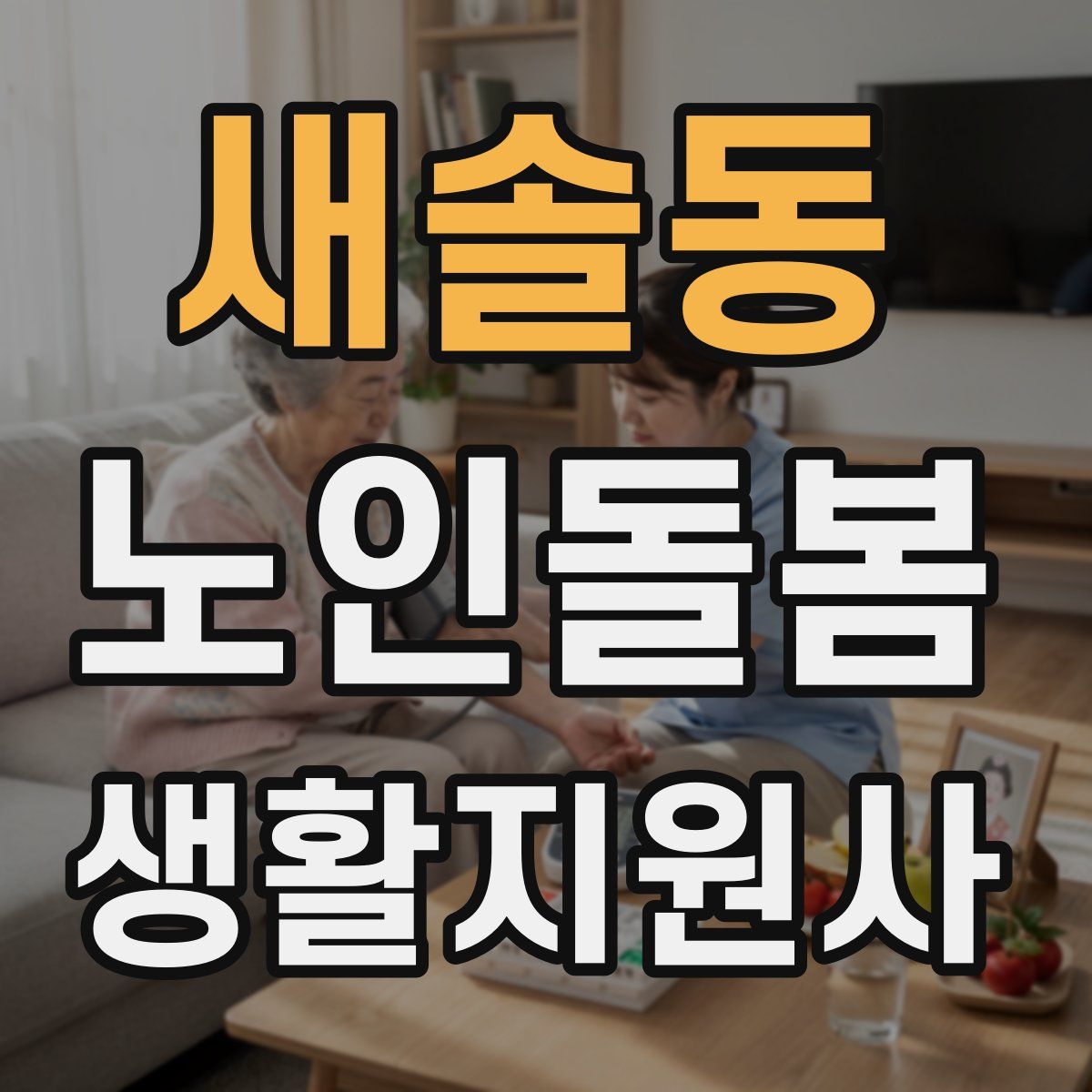 새솔동 노인돌봄생활지원사 자격증