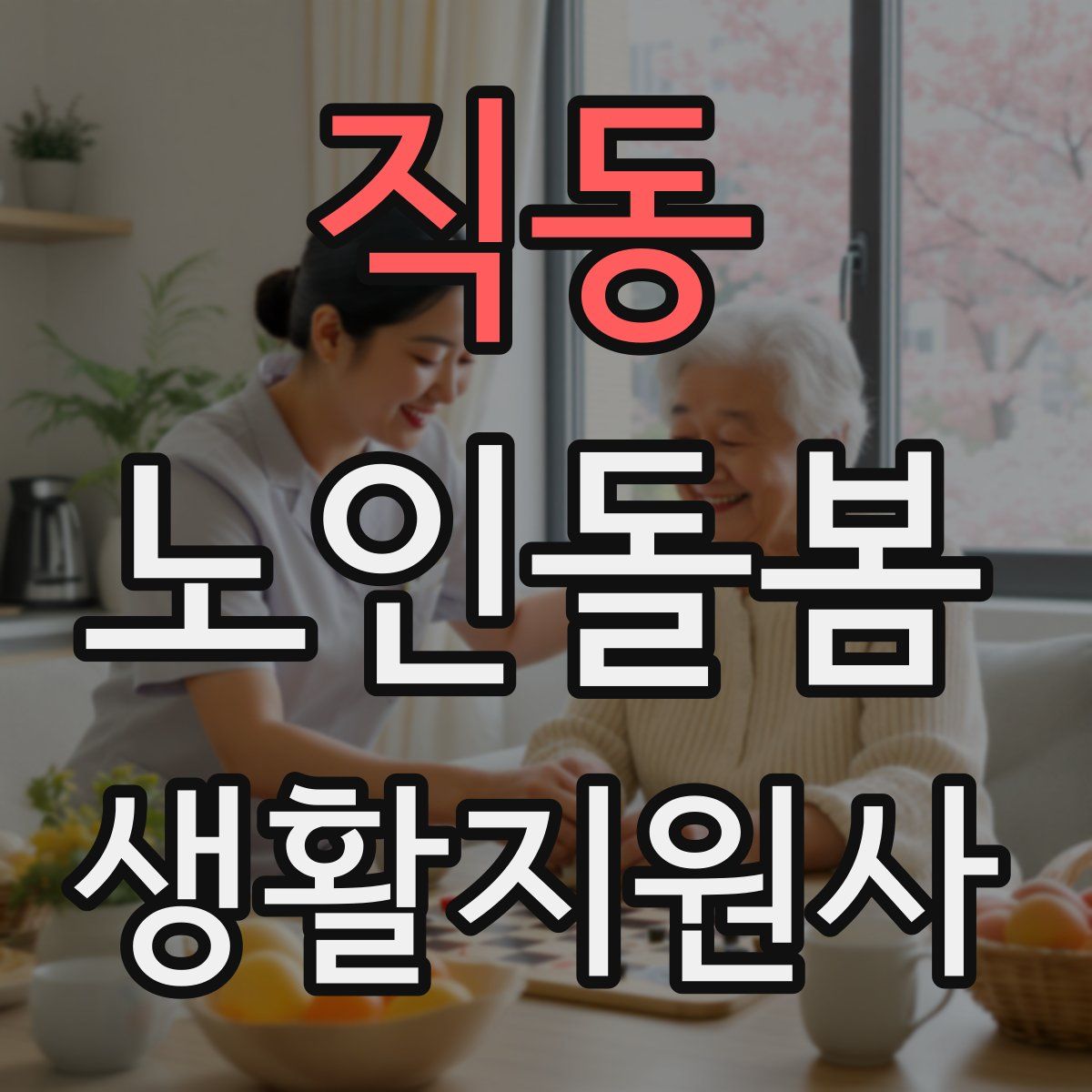 직동 노인돌봄생활지원사 자격증