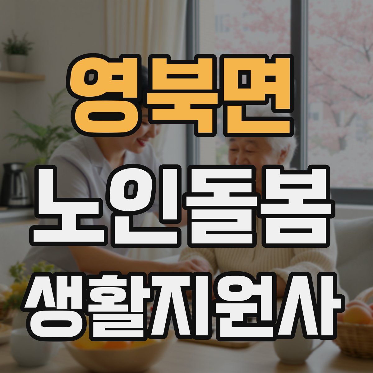 영북면 노인돌봄생활지원사 자격증
