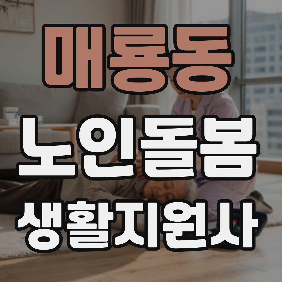 매룡동 노인돌봄생활지원사 자격증
