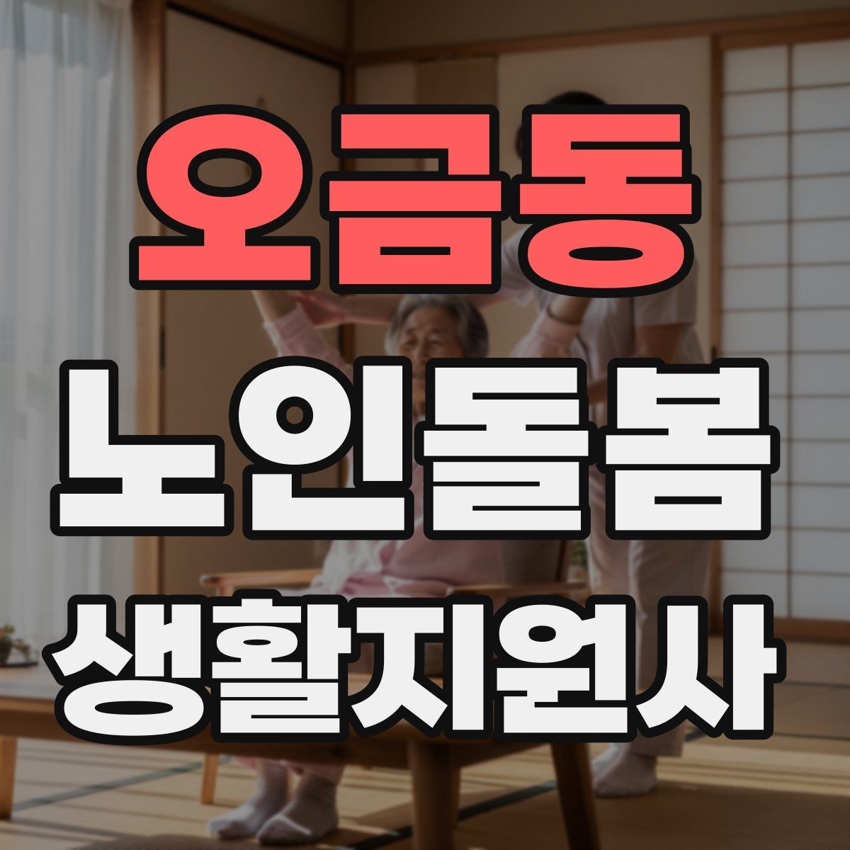 오금동 노인돌봄생활지원사 자격증