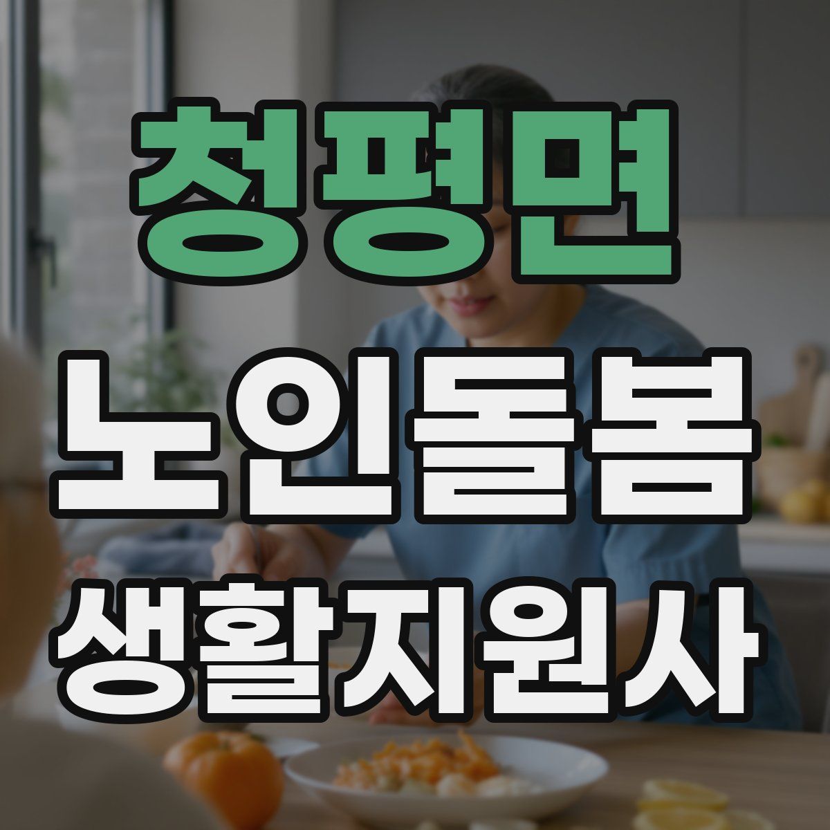 청평면 노인돌봄생활지원사 자격증