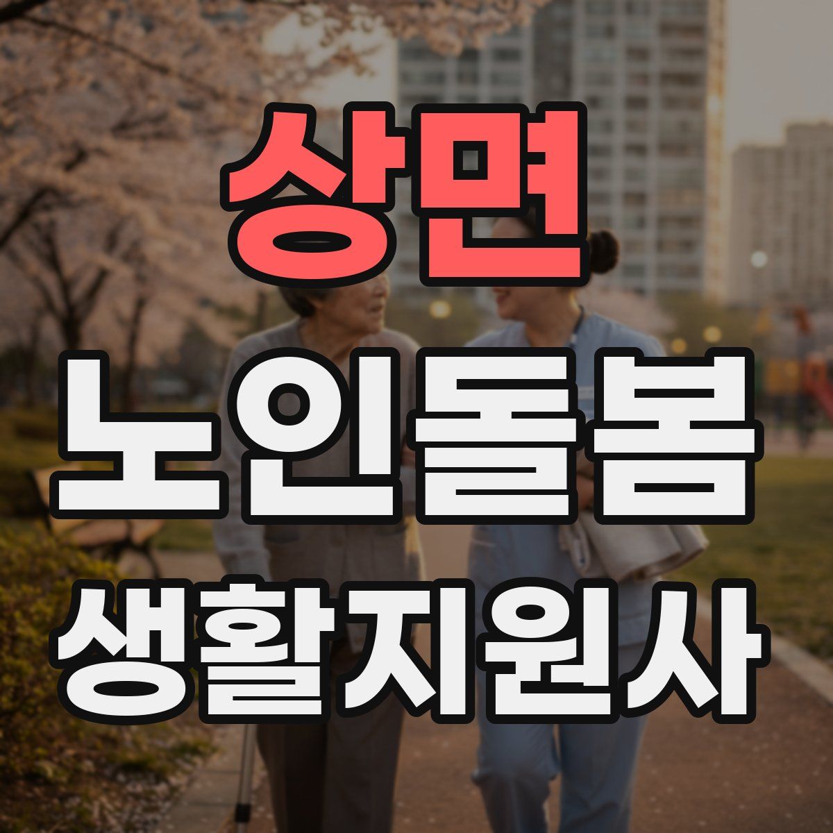 상면 노인돌봄생활지원사 자격증