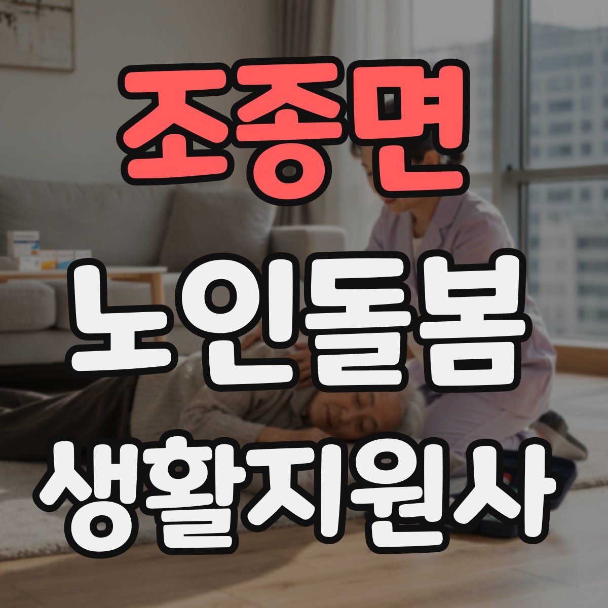 조종면 노인돌봄생활지원사 자격증