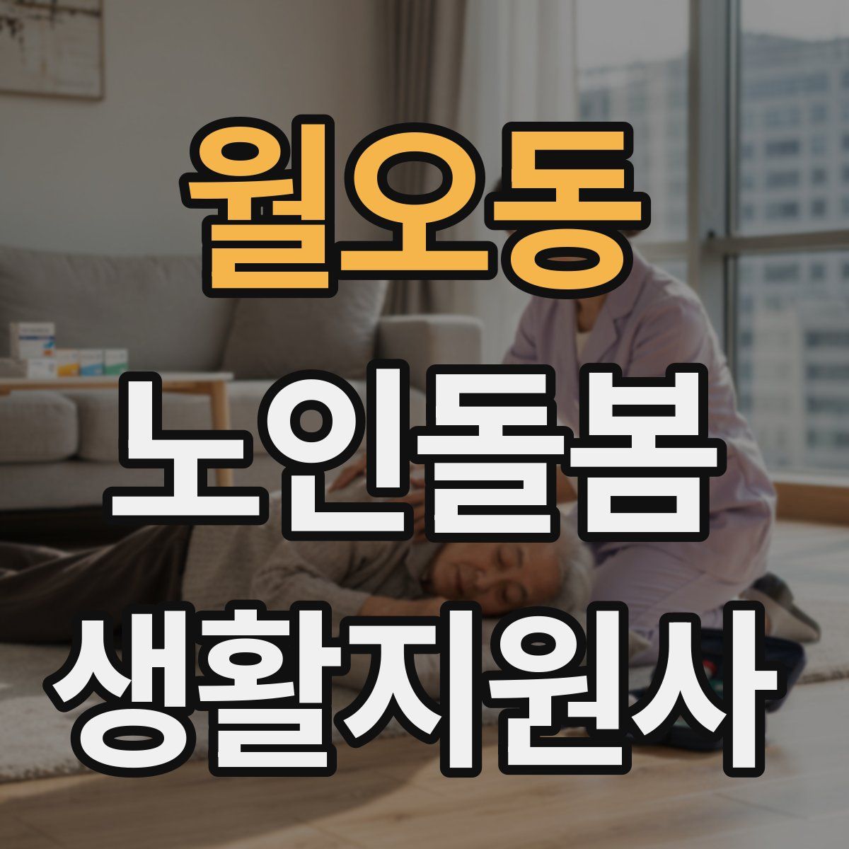월오동 노인돌봄생활지원사 자격증