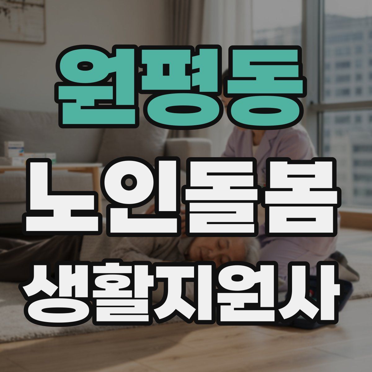 원평동 노인돌봄생활지원사 자격증