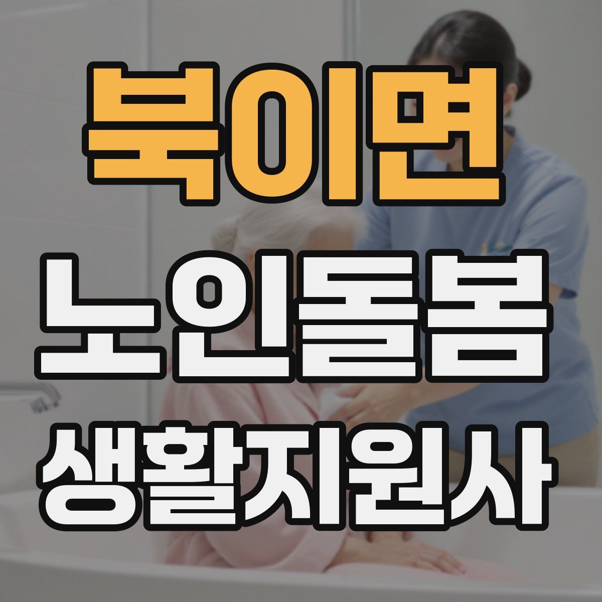 북이면 노인돌봄생활지원사 자격증