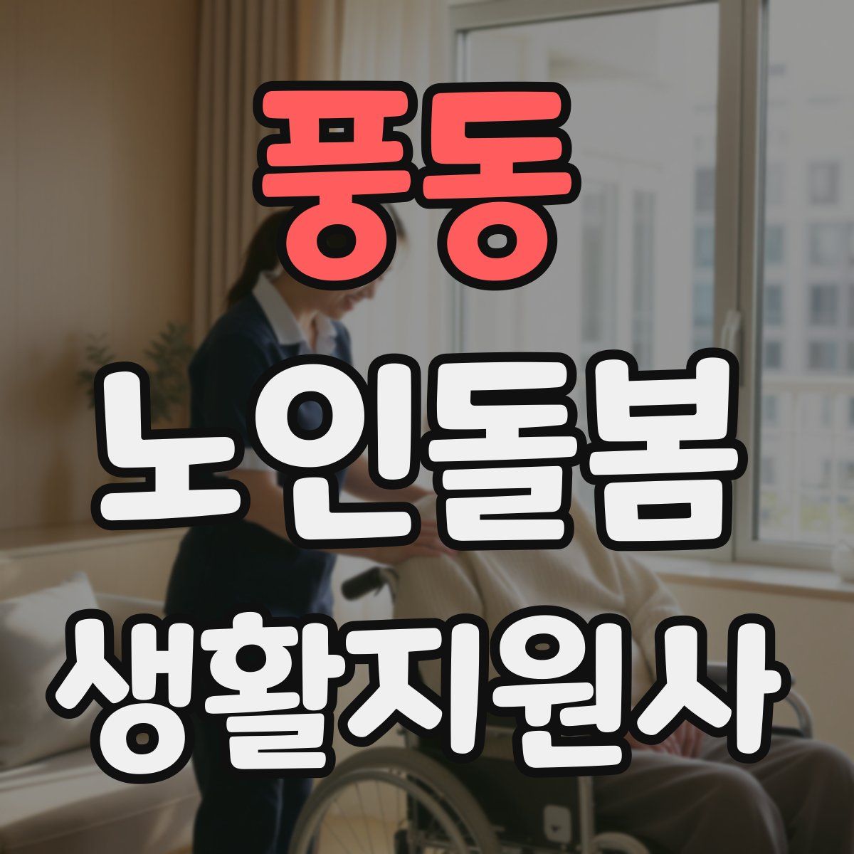 풍동 노인돌봄생활지원사 자격증