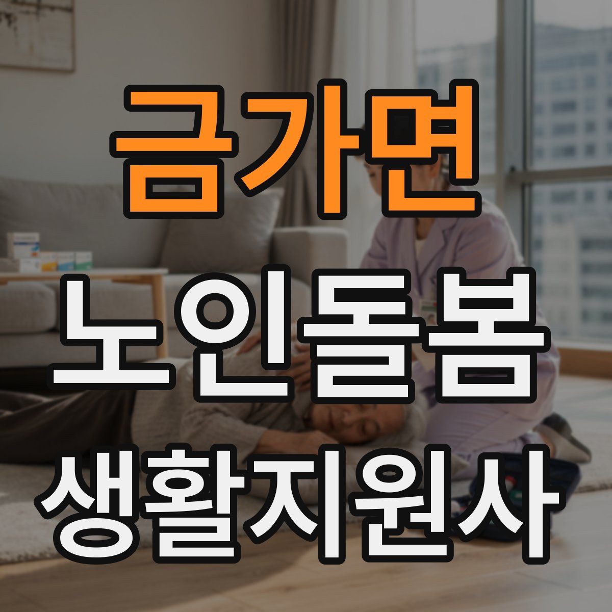 금가면 노인돌봄생활지원사 자격증