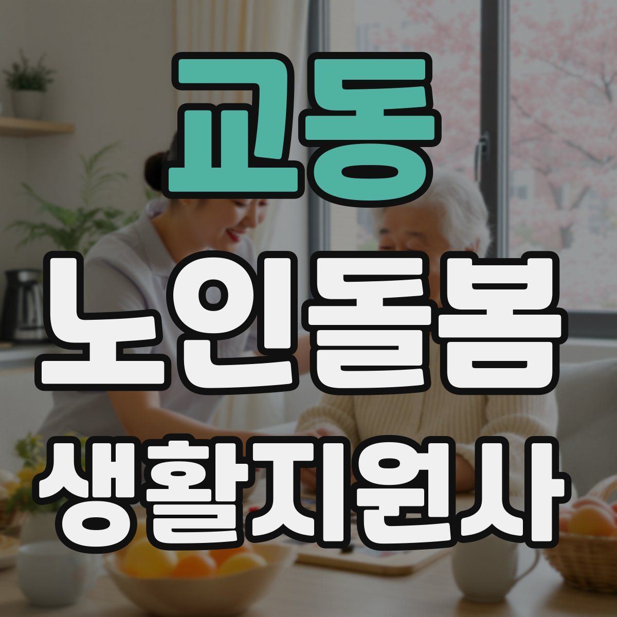 교동 노인돌봄생활지원사 자격증