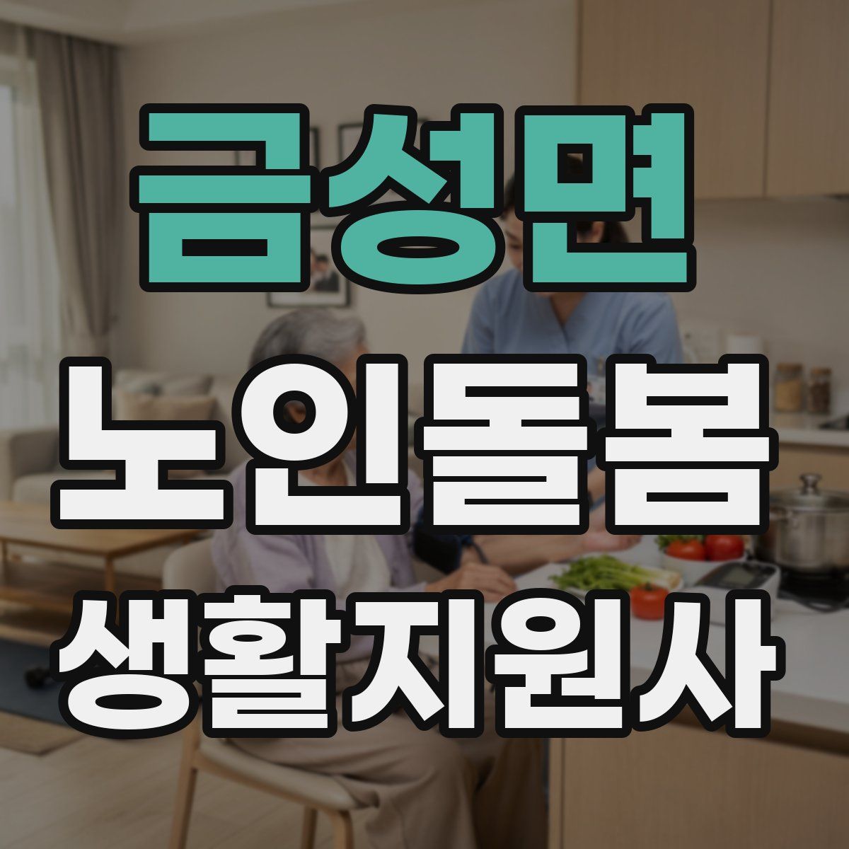 금성면 노인돌봄생활지원사 자격증