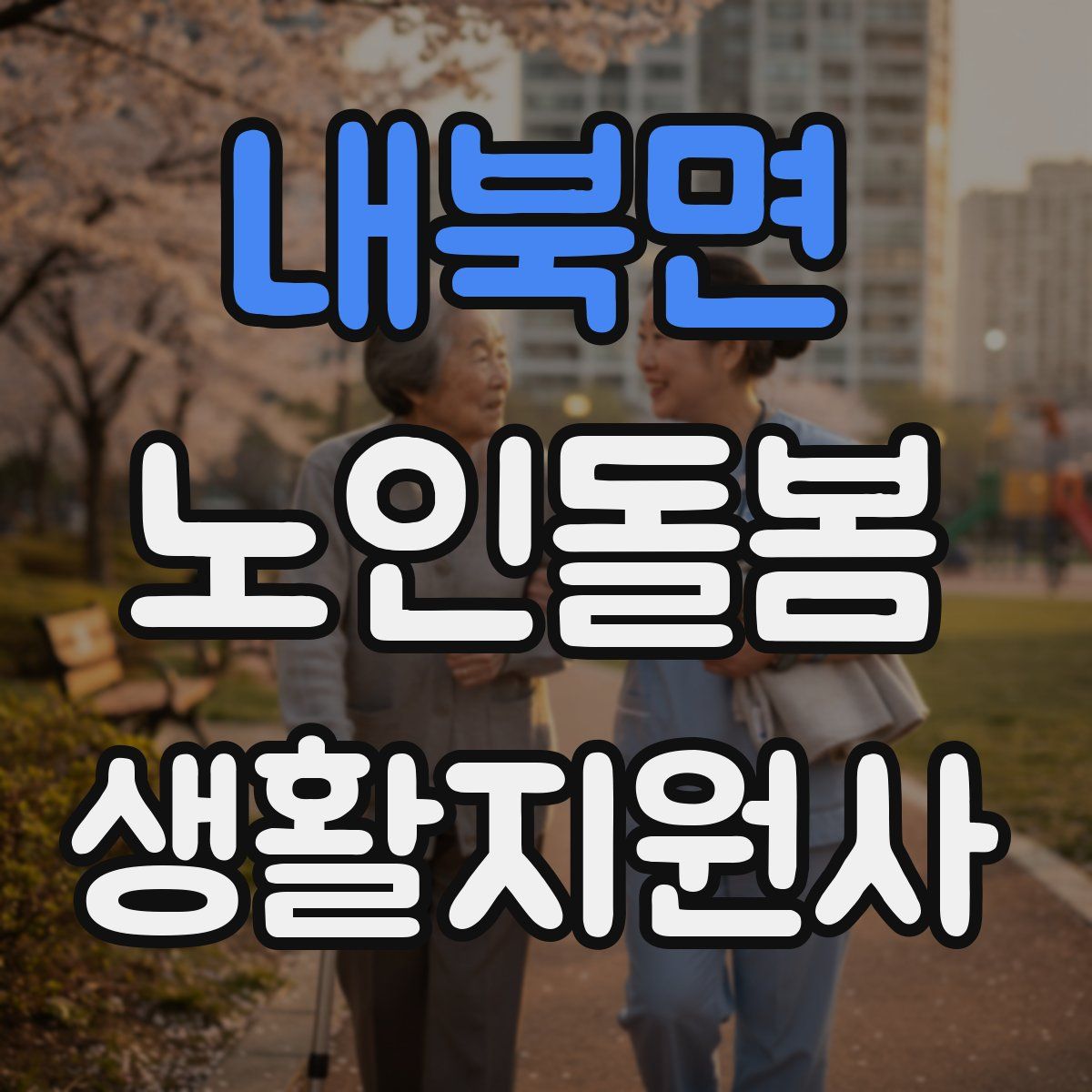 내북면 노인돌봄생활지원사 자격증
