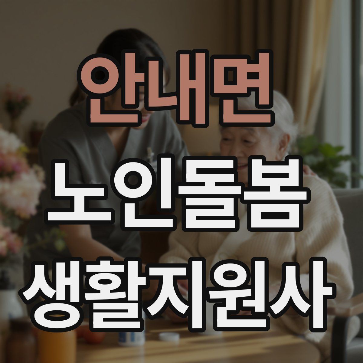 안내면 노인돌봄생활지원사 자격증 한 번에 이해하는 업무 핵심 정리