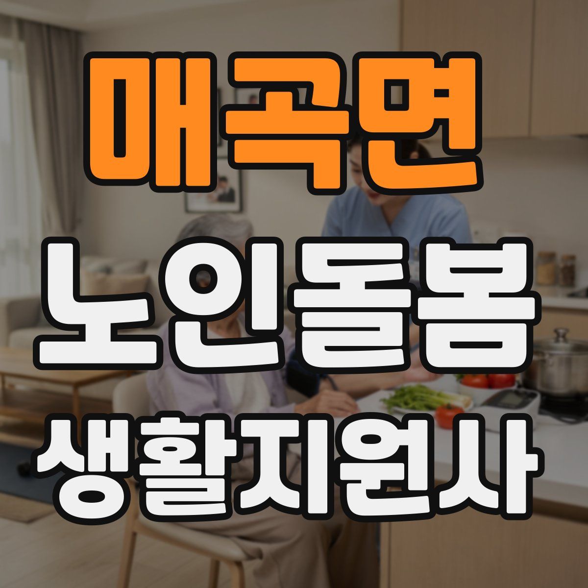 매곡면 노인돌봄생활지원사 자격증