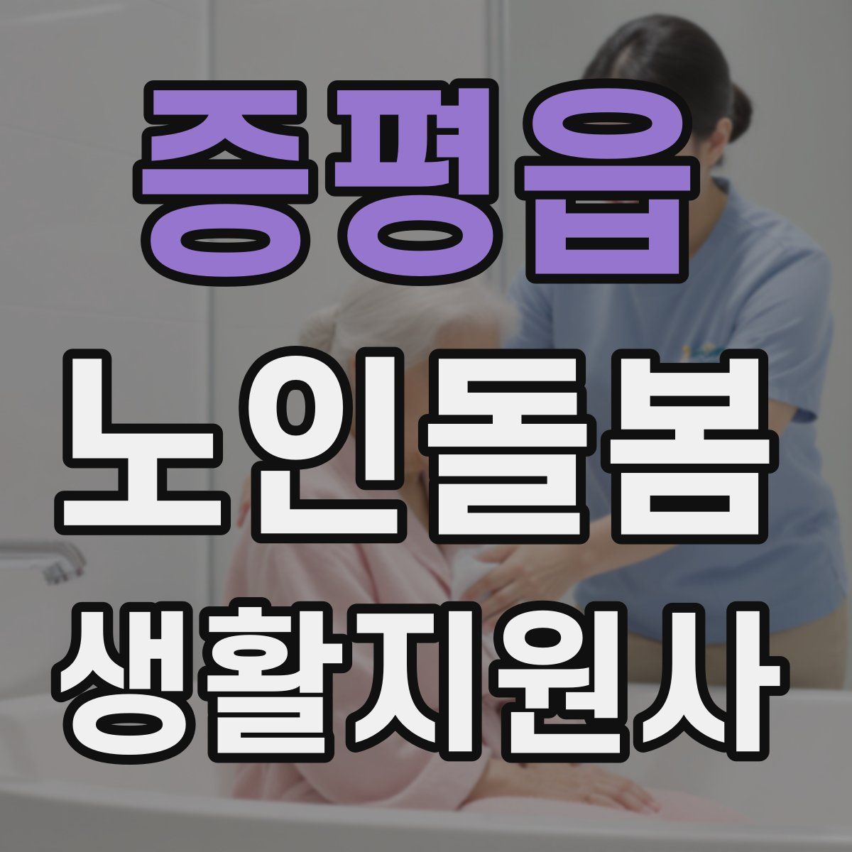 증평읍 노인돌봄생활지원사 자격증
