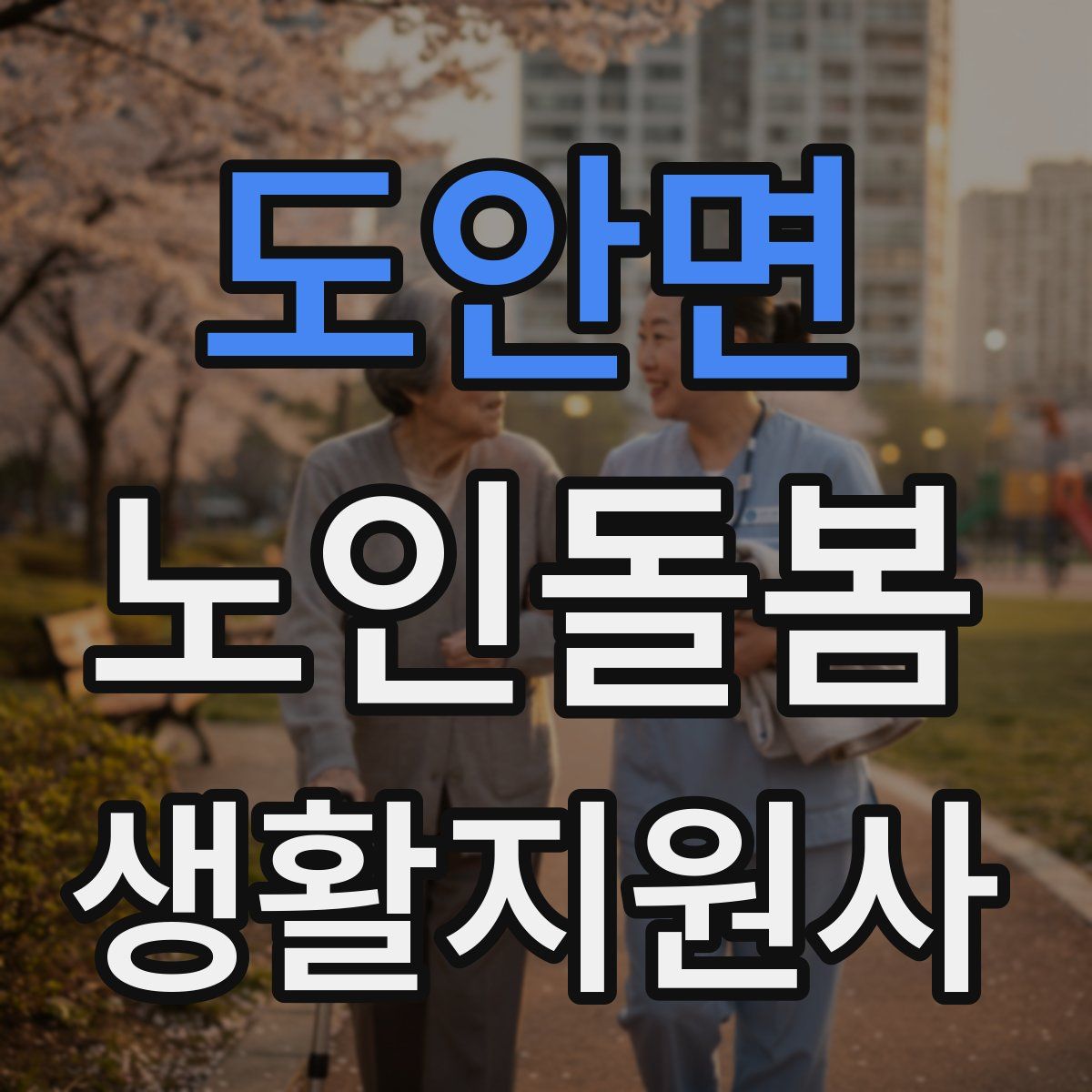 도안면 노인돌봄생활지원사 자격증