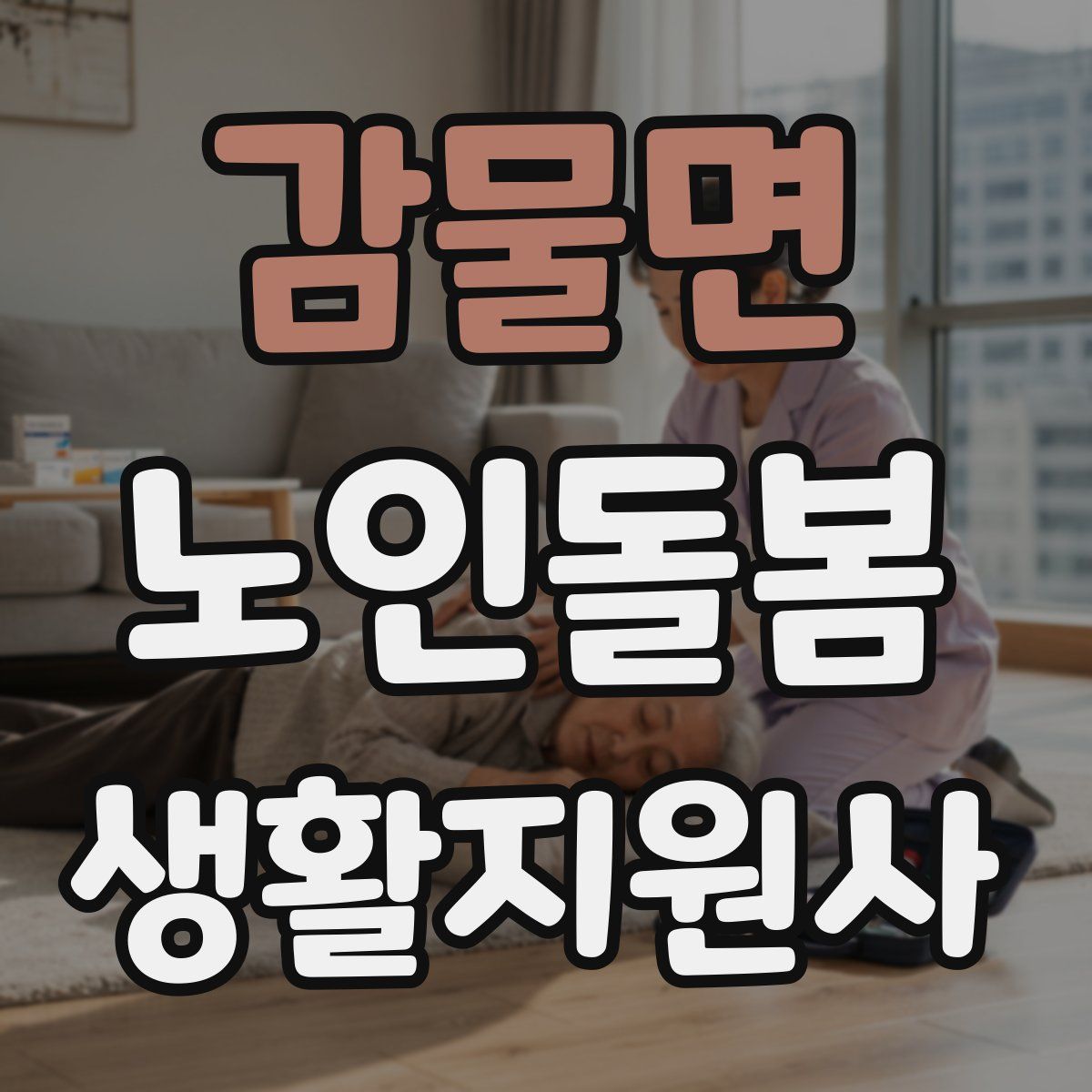 감물면 노인돌봄생활지원사 자격증