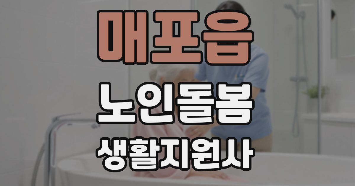 매포읍 노인돌봄생활지원사 자격증