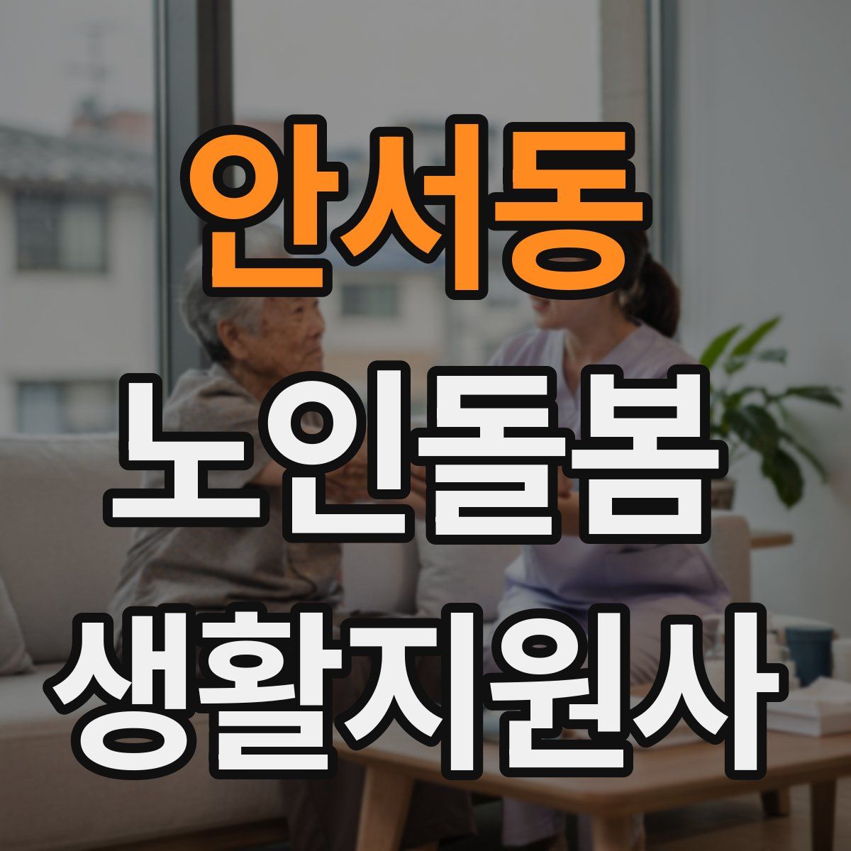 안서동 노인돌봄생활지원사 자격증