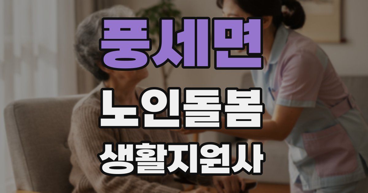 풍세면 노인돌봄생활지원사 자격증