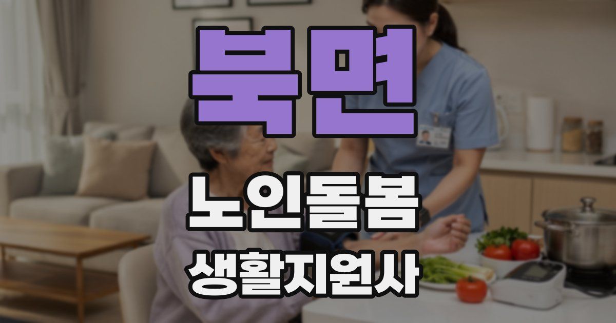 북면 노인돌봄생활지원사 자격증