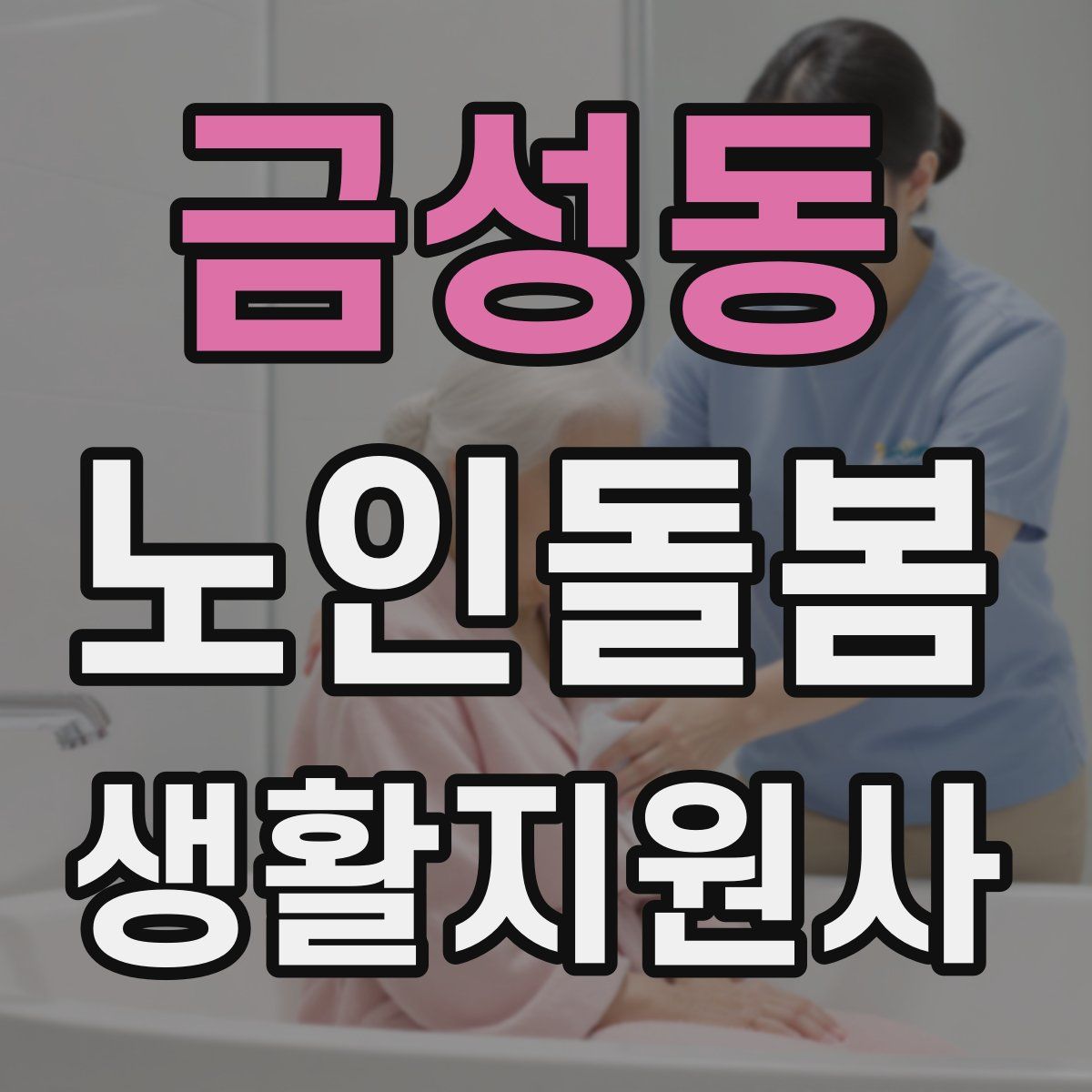 금성동 노인돌봄생활지원사 자격증