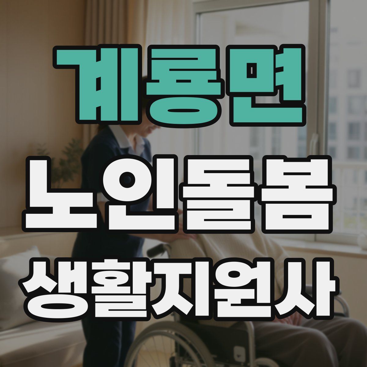 계룡면 노인돌봄생활지원사 자격증