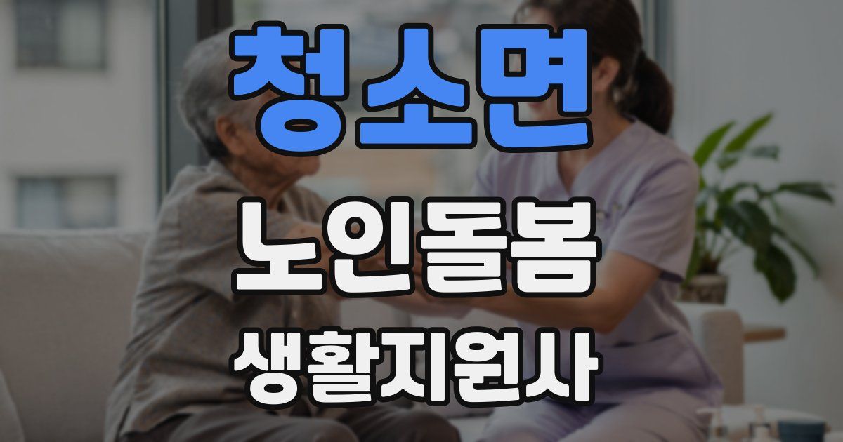 청소면 노인돌봄생활지원사 자격증