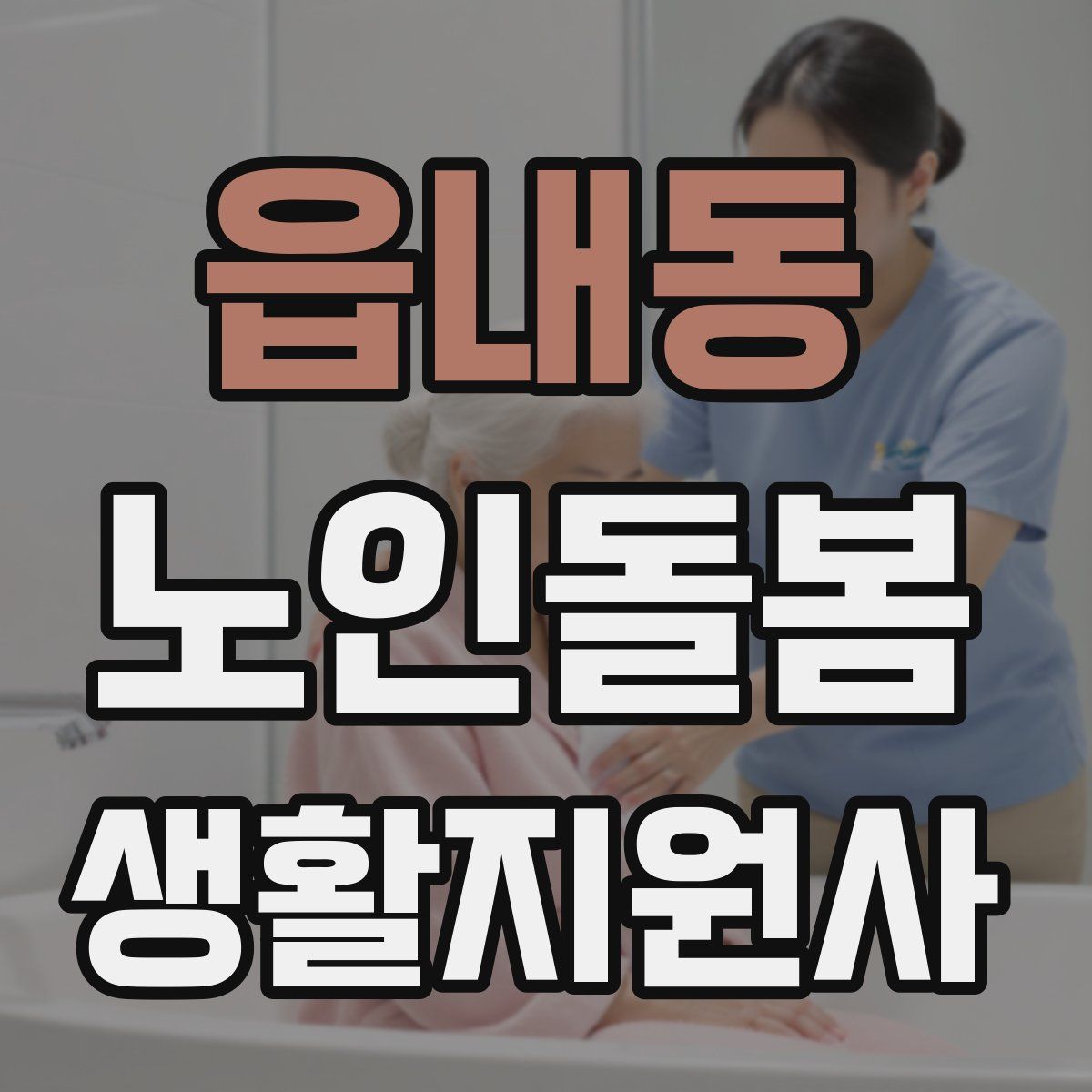 읍내동 노인돌봄생활지원사 자격증