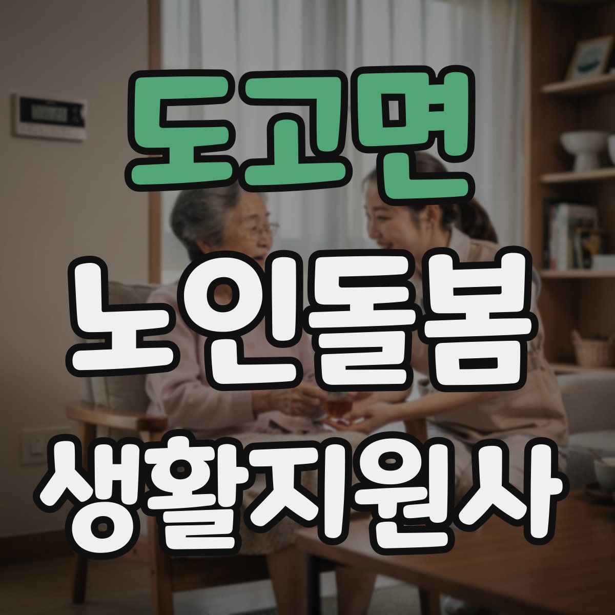 도고면 노인돌봄생활지원사 자격증