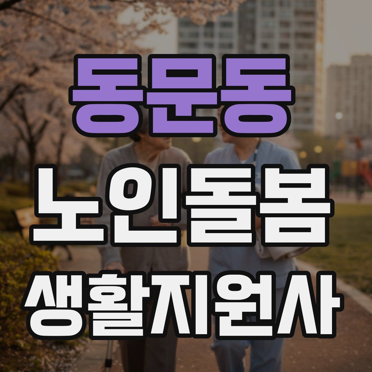 동문동 노인돌봄생활지원사 자격증