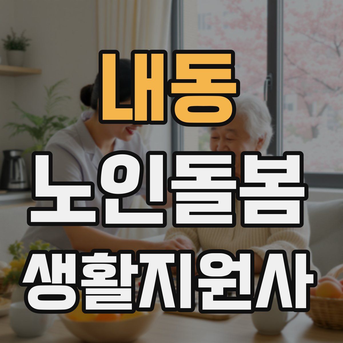 내동 노인돌봄생활지원사 자격증