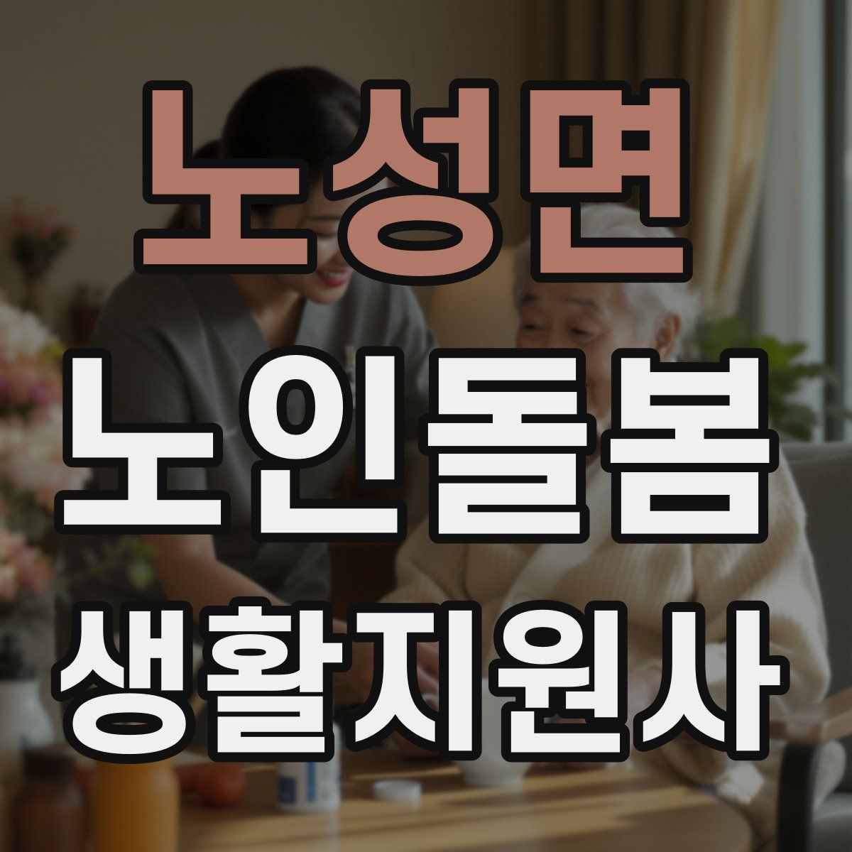 노성면 노인돌봄생활지원사 자격증