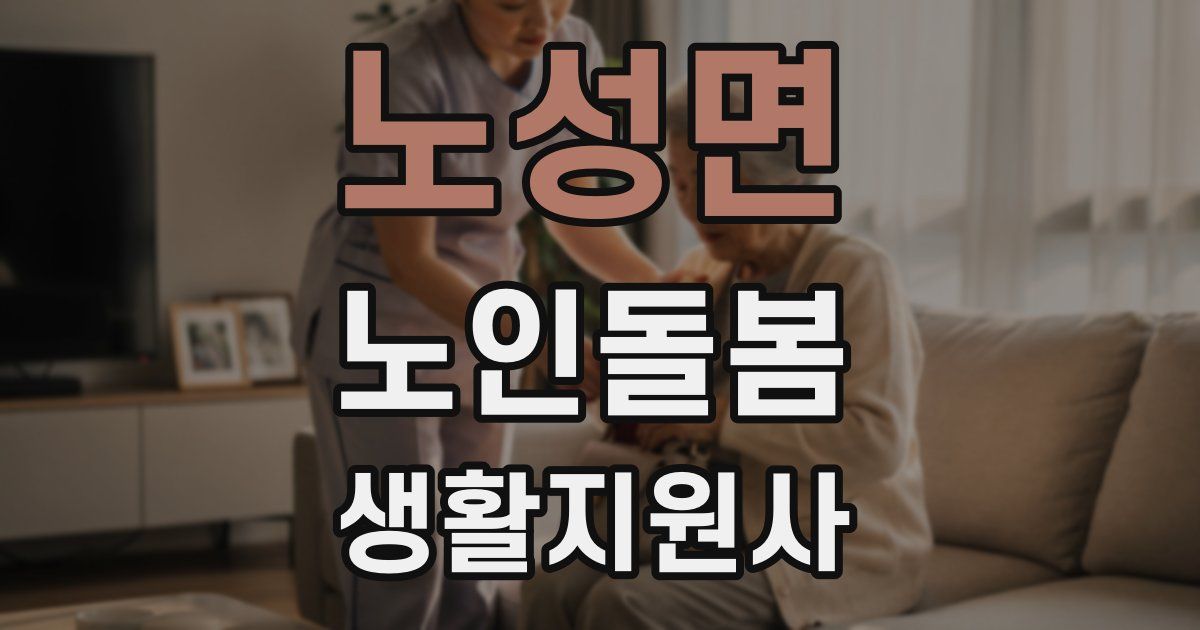 노성면 노인돌봄생활지원사 자격증