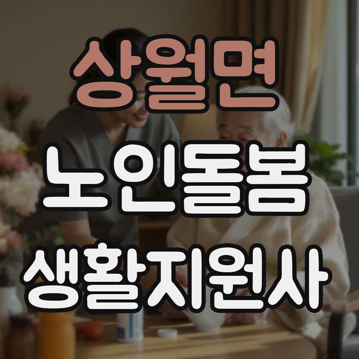 상월면 노인돌봄생활지원사 자격증
